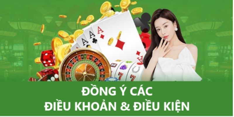 Tuân thủ các điều khoản